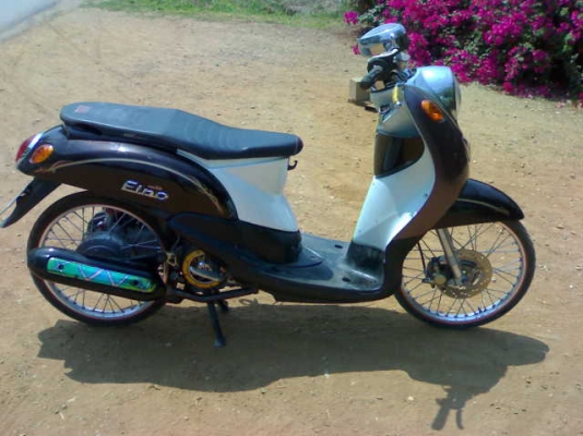 ขายไปแล้วครับฟีโน่ปี51 ราคาเบา ๆ