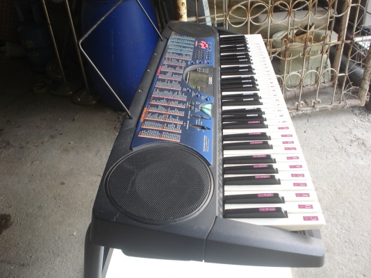 เหลืออีก 2 ตัวครับเสียงใส  ขายถูกๆๆ2800บาท สภาพเล่นได้ครับ