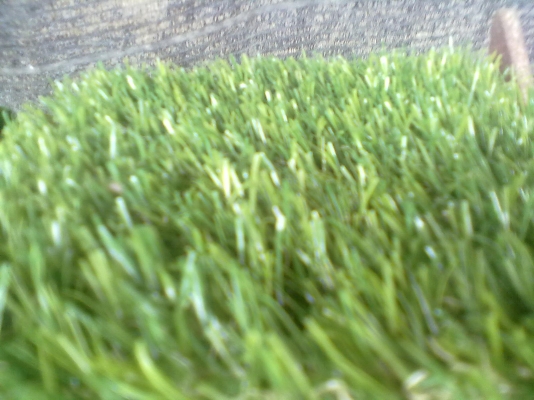 ขายหญ้าเทียม ต้นไม้เทียม ปูสนาม จัดสวนด้วยต้นไม้เทียม