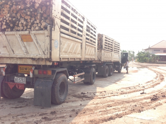 Hino Mega 260 ปี 49