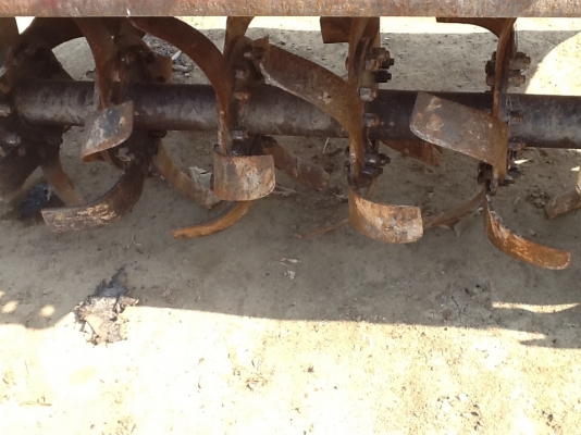 โรตารี่ 1.40 สภาพดีใบเต็มชิลต้องเก็บ 1 ข้างขายถูกๆพร้อมยอย