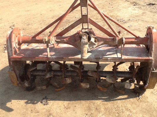 โรตารี่ 1.40 สภาพดีใบเต็มชิลต้องเก็บ 1 ข้างขายถูกๆพร้อมยอย