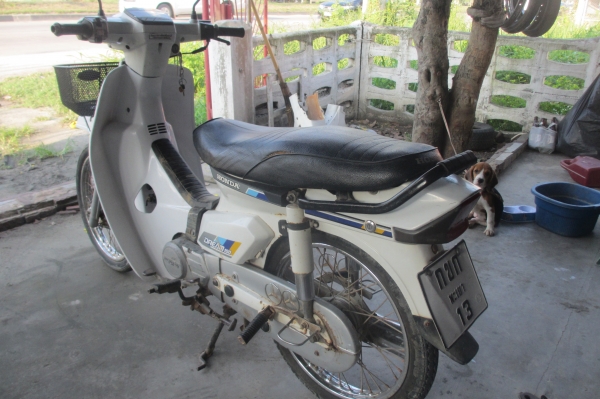 ขายดรีมคุรุสภา มีเล่มทะเบียน+ชุดโอนภาษีขาด 55 (จัดส่งทั่วไทย) ขายดรีมคุรุสภา มีเล่มทะเบียน+ชุดโอนภาษีขาด 55 (จัดส่งทั่วไทย)