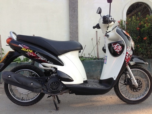 ขายjelatoสีดำปี2554