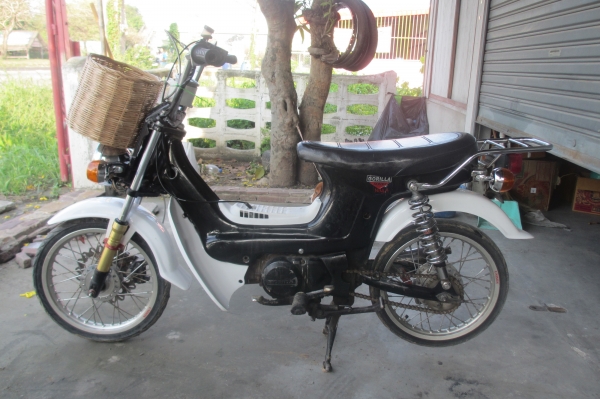 ขายชาลี เครื่องเดิมๆแต่งแล้วพอสมควร (จัดส่งทั่วไทย) ขายชาลี เครื่องเดิมๆแต่งแล้วพอสมควร (จัดส่งทั่วไทย)