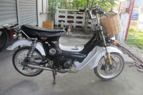 ขายชาลี เครื่องเดิมๆแต่งแล้วพอสมควร (จัดส่งทั่วไทย)