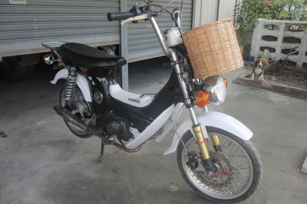 ขายชาลี เครื่องเดิมๆแต่งแล้วพอสมควร (จัดส่งทั่วไทย) ขายชาลี เครื่องเดิมๆแต่งแล้วพอสมควร (จัดส่งทั่วไทย)