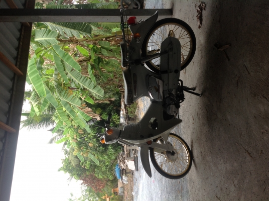 c70สีขาวมุกเครื่องดรีมเดิมๆๆคับ