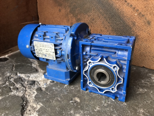ขายมอเตอร์เกียร์เพลาสวม Motovario 1/4HP. 380V อัตราทด 1:50 สภาพสวยใหม่มาก พร้อมใช้งาน