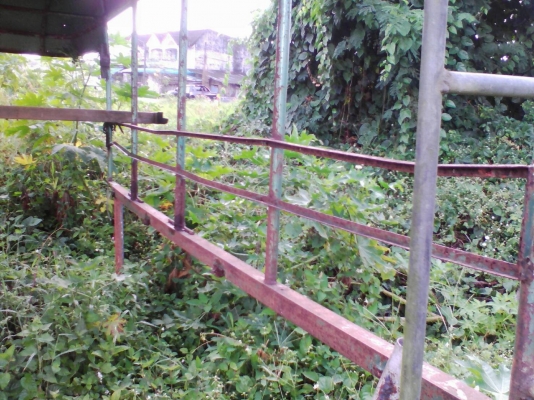 ขาย รั้วหลังคาถอดจาก 4ล้อ 88แรงหัวปิ๊ป