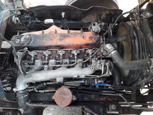 ขาย ISUZU FRR175