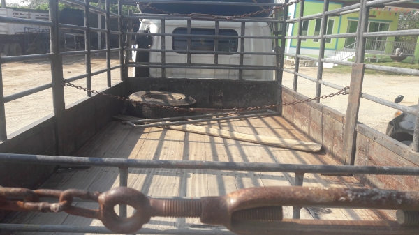 ขายกะบะคาร์โก้พร้อมคอกเหล็กสวยๆ ยาว4.3เมตร คัชชี75เซน ถอดออกจากNPR130 ไม้ตรงหน้า4&times;4 สวยไม่มีผุ