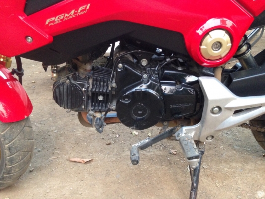 MSX125