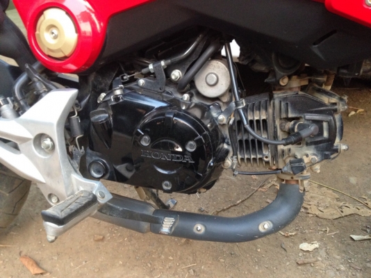 MSX125 MSX125