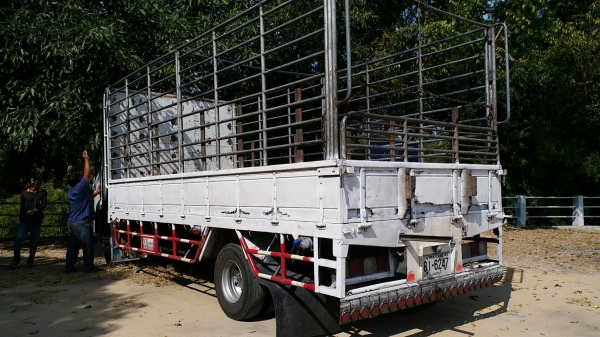 ขาย ISUZU รุ่นFRR มือสองตามสภาพ ขาย ISUZU รุ่นFRR มือสองตามสภาพ