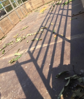 หกล้อ อิซูชุ NKR58LU5M110HP ปี37 ยาว4.30ม.รถห้าง สภาพดีสวยบางเดิมพายในครบพร้อมใช้งาน ทะเบียนพร้อมโอน ขาย.ราคา198,000บ.แบบเบาๆๆ