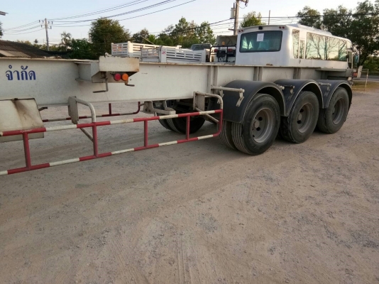 ขายหาง PANUS  พื้นเรียบ3เหลา ปี56