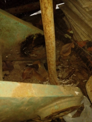 ขายบูม อาร์ม SK-60. ของเก่านอก. มีกระบอกบุ้งกี้ให้  ของสวยมากครับ