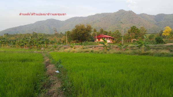 ขายที่ดินเพชรบูรณ์ มีโฉนดที่สวยบนเนิน ติดทางหลวง ใกล้อุทยานแห่งชาติตาดหมอก เนื้อที่881ตรว.ขาย1.4ล้านบาท ขายที่ดินเพชรบูรณ์ มีโฉนดที่สวยบนเนิน ติดทางหลวง ใกล้อุทยานแห่งชาติตาดหมอก เนื้อที่881ตรว.ขาย1.4ล้านบาท
