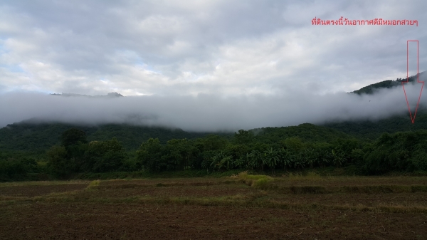 ขายที่ดินเพชรบูรณ์ มีโฉนดที่สวยบนเนิน ติดทางหลวง ใกล้อุทยานแห่งชาติตาดหมอก เนื้อที่881ตรว.ขาย1.4ล้านบาท ขายที่ดินเพชรบูรณ์ มีโฉนดที่สวยบนเนิน ติดทางหลวง ใกล้อุทยานแห่งชาติตาดหมอก เนื้อที่881ตรว.ขาย1.4ล้านบาท