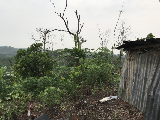 ขายที่ดิน ภบท 5 บรรยากาศดี ขายที่ดิน ภบท 5 บรรยากาศดี