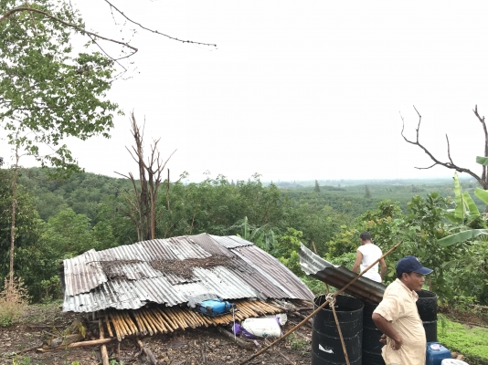 ขายที่ดิน ภบท 5 บรรยากาศดี ขายที่ดิน ภบท 5 บรรยากาศดี