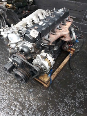 6bg เสื้อดำ 6bg เสื้อดำ