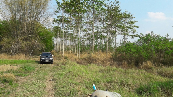 รับขายฝาก ที่ดิน อสังหาริมทรัพย์ ทุกชนิด ในเขตอุดรธานี และภาคอิสาน รับไถ่ถอนที่ดิน บ้าน คอนโด ดอกเบี รับขายฝาก ที่ดิน อสังหาริมทรัพย์ ทุกชนิด ในเขตอุดรธานี และภาคอิสาน รับไถ่ถอนที่ดิน บ้าน คอนโด ดอกเบี