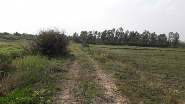 รับขายฝาก ที่ดิน อสังหาริมทรัพย์ ทุกชนิด ในเขตอุดรธานี และภาคอิสาน รับไถ่ถอนที่ดิน บ้าน คอนโด ดอกเบี