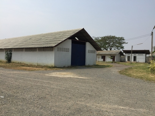 ขายลดราคาที่ดินพร้อมโรงงานพรีคาสท์ ใกล้สนามบินแห่งใหม่ ขายลดราคาที่ดินพร้อมโรงงานพรีคาสท์ ใกล้สนามบินแห่งใหม่