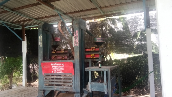 ขายสีๆข้าวหิน24นิ้ว.2หัวสีครั่งเดียวเป็นข้าวสารเลย.ครับ.พ่อแก่แล้วสีไม่ไหวครับ