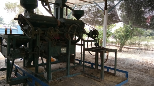 ขายสีๆข้าวหิน24นิ้ว.2หัวสีครั่งเดียวเป็นข้าวสารเลย.ครับ.พ่อแก่แล้วสีไม่ไหวครับ