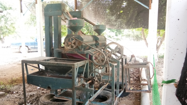 ขายสีๆข้าวหิน24นิ้ว.2หัวสีครั่งเดียวเป็นข้าวสารเลย.ครับ.พ่อแก่แล้วสีไม่ไหวครับ