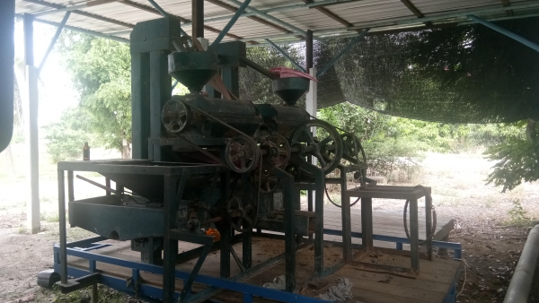 ขายสีๆข้าวหิน24นิ้ว.2หัวสีครั่งเดียวเป็นข้าวสารเลย.ครับ.พ่อแก่แล้วสีไม่ไหวครับ