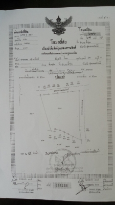 ขายสวนยาง 48 ไร่เศษ