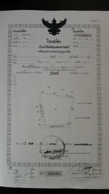 ขายสวนยาง 33 ไร่เศษ