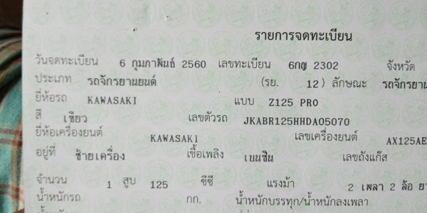 Kawasaki Z125 PRO