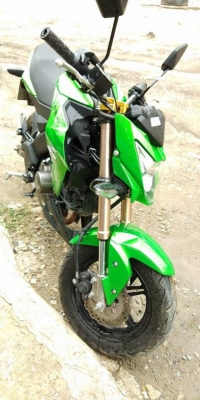 Kawasaki Z125 PRO