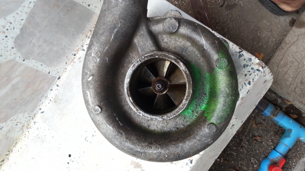 ขาย เทอร์โบ schw&igrave;tzer ตระกูล cat สภาพใหม่เก่าเก็บ 13,500