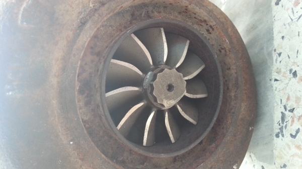 ขาย เทอร์โบ schw&igrave;tzer ตระกูล cat สภาพใหม่เก่าเก็บ 13,500