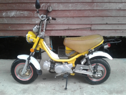 ชิปปี้จีน LuLu 50cc.น่ารักๆพร้อมใช้ครับ