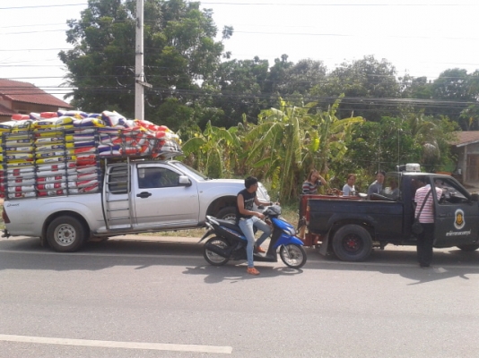 ขายวินซ์