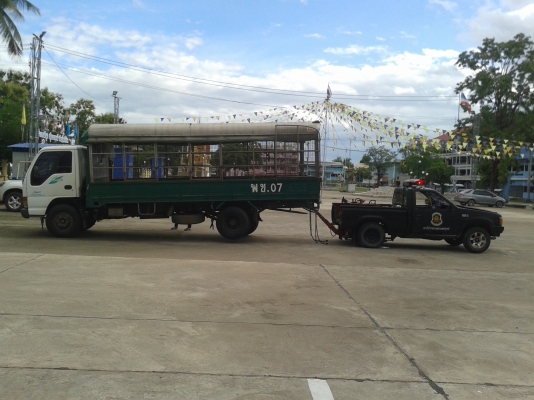 ขายวินซ์