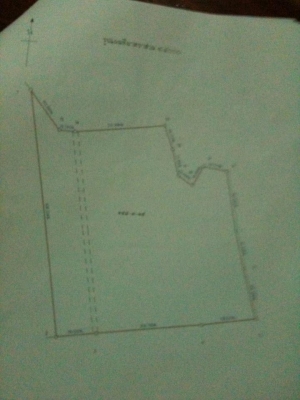 ต้องการขายกิจการ ด่วน !!  สวนยางพารา 150 ไร่. จ.ชัยภูมิ
