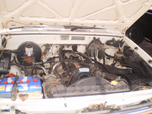 ไมตี้ แค๊ปปี 39