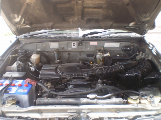 ไทเกอร์ ปี42