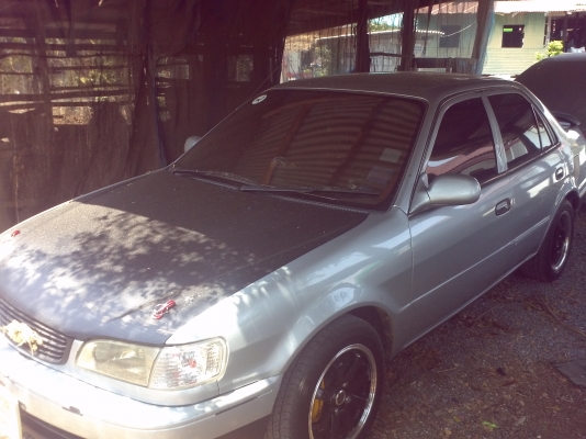 ขายโคโรล่า