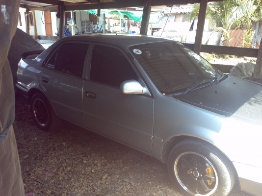 ขายโคโรล่า