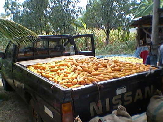 ขายเครื่องสีข้าวโพด