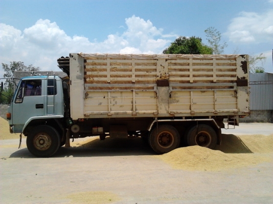 ***ขายแล้วครับขอบคุณ Truck2hand ขาย 10ล้อ1เพลาดั้ม ISUZU JUMBO เครื่องวางใหม่6HE1 195 (ใบคุม)ใช้งาน3เดือน แห้งๆแรงดี ไม่หลวม คัสซีJUMBO สวยไม่ผุ ช่วงล่าง 200เพลาใหญ่ วางหัวร็อค เบรคทริฟฟี่ ยางดี10เส้น คอกเหล็กเกษตรสูง สวย ไม่ผุไม่หัก พร้อมใช้ พร้อมลุยงาน